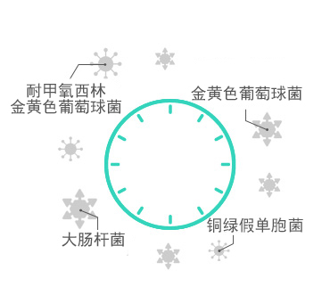 金年会
